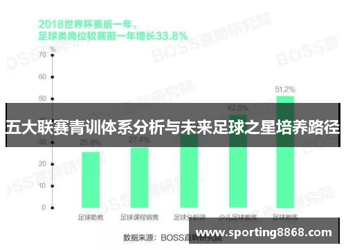 五大联赛青训体系分析与未来足球之星培养路径
